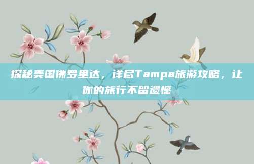 探秘美国佛罗里达，详尽Tampa旅游攻略，让你的旅行不留遗憾