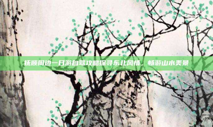抚顺周边一日游自驾攻略探寻东北风情,畅游山水美景