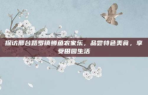探访邢台路罗镇鳟鱼农家乐,品尝特色美食,享受田园生活