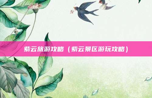 紫云旅游攻略(紫云景区游玩攻略)