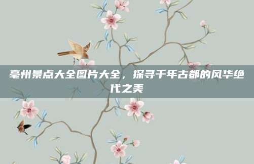 亳州景点大全图片大全,探寻千年古都的风华绝代之美