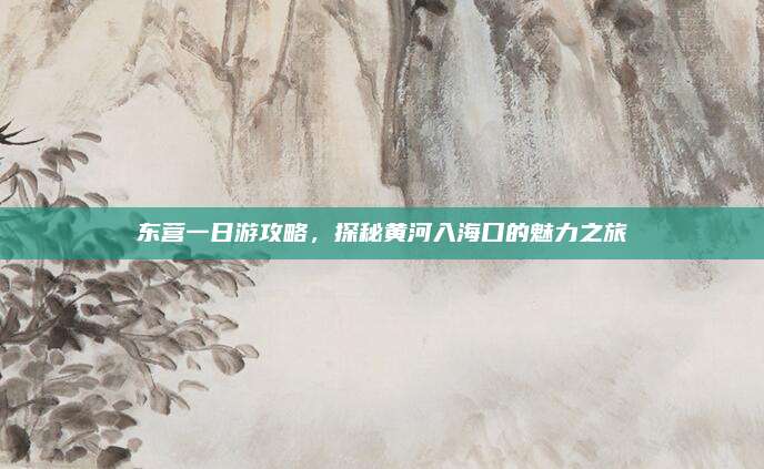 东营一日游攻略,探秘黄河入海口的魅力之旅