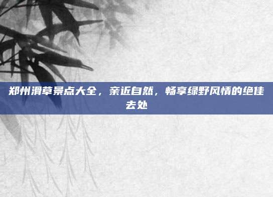 郑州滑草景点大全，亲近自然，畅享绿野风情的绝佳去处