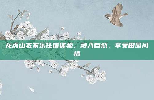 龙虎山农家乐住宿体验,融入自然,享受田园风情