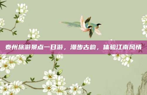 泰州旅游景点一日游,漫步古韵,体验江南风情