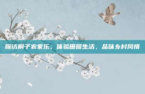 探访桐子农家乐,体验田园生活,品味乡村风情