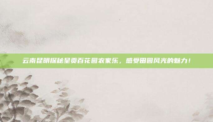 云南昆明探秘呈贡百花园农家乐,感受田园风光的魅力!