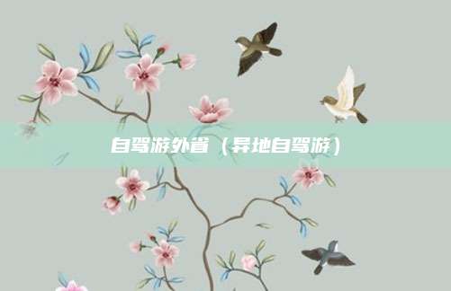 自驾游外省(异地自驾游)