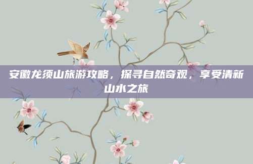 安徽龙须山旅游攻略,探寻自然奇观,享受清新山水之旅