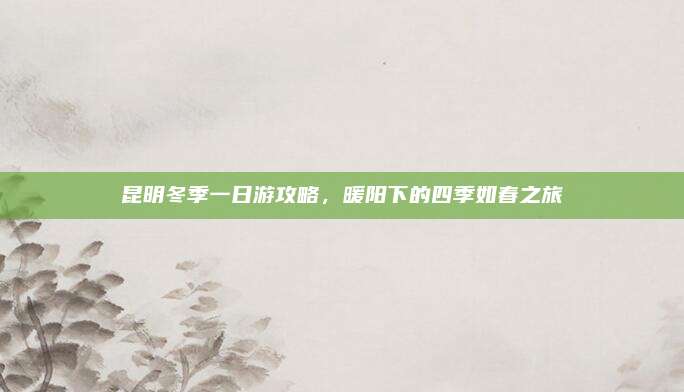 昆明冬季一日游攻略，暖阳下的四季如春之旅