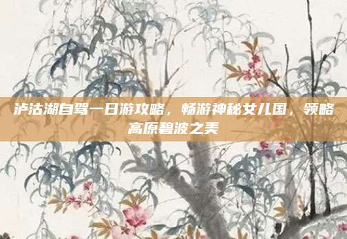 泸沽湖自驾一日游攻略,畅游神秘女儿国,领略高原碧波之美
