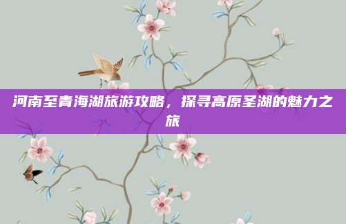 河南至青海湖旅游攻略,探寻高原圣湖的魅力之旅
