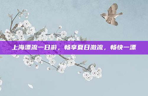 上海漂流一日游，畅享夏日激流，畅快一漂
