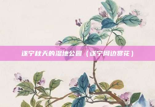 遂宁秋天的湿地公园(遂宁周边赏花)