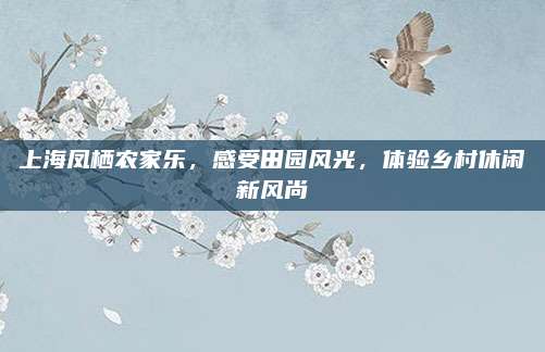上海凤栖农家乐,感受田园风光,体验乡村休闲新风尚