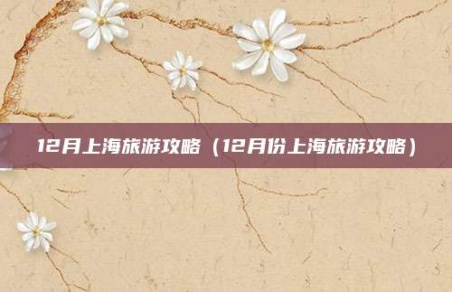 12月上海旅游攻略（12月份上海旅游攻略）