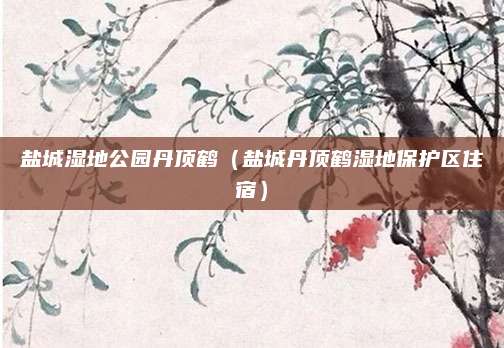 盐城湿地公园丹顶鹤（盐城丹顶鹤湿地保护区住宿）