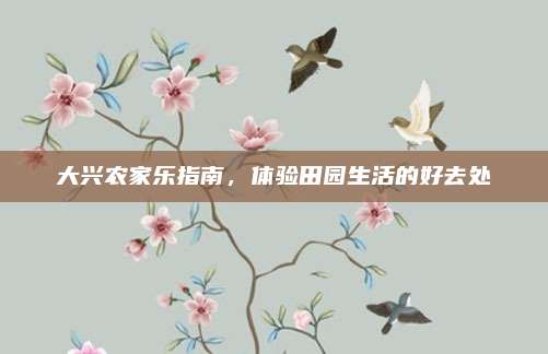 大兴农家乐指南，体验田园生活的好去处