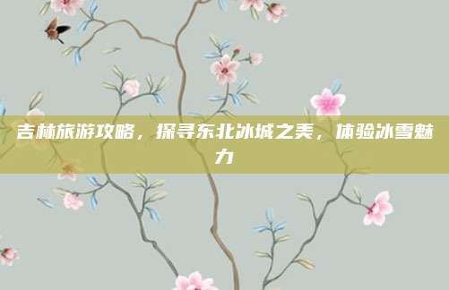 吉林旅游攻略，探寻东北冰城之美，体验冰雪魅力