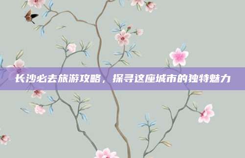 长沙必去旅游攻略，探寻这座城市的独特魅力