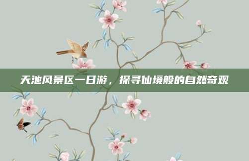 天池风景区一日游,探寻仙境般的自然奇观