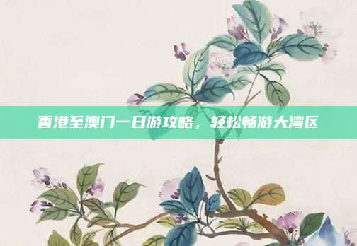 香港至澳门一日游攻略，轻松畅游大湾区
