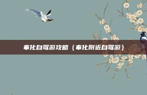 奉化自驾游攻略（奉化附近自驾游）