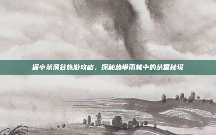 保亭茶溪谷旅游攻略，探秘热带雨林中的茶香秘境