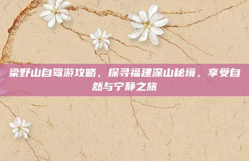 梁野山自驾游攻略,探寻福建深山秘境,享受自然与宁静之旅