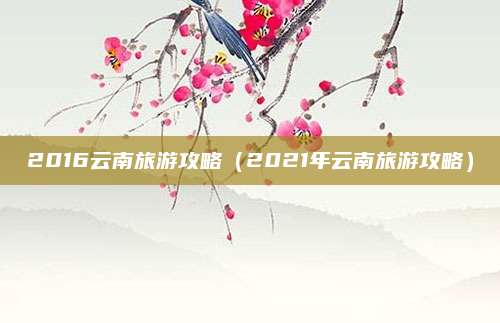 2016云南旅游攻略(2021年云南旅游攻略)