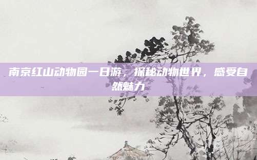 南京红山动物园一日游,探秘动物世界,感受自然魅力