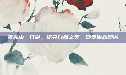黄龙山一日游，探寻自然之美，感受生态和谐