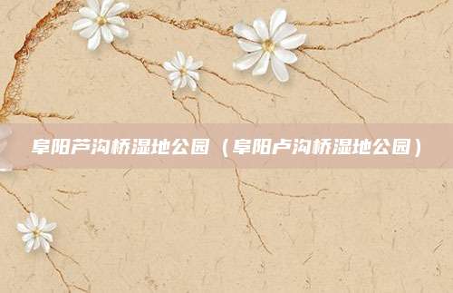 阜阳芦沟桥湿地公园（阜阳卢沟桥湿地公园）