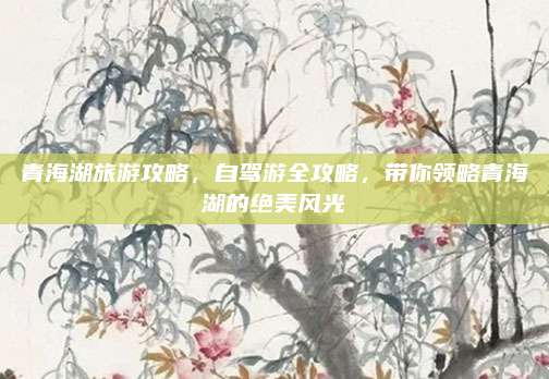 青海湖旅游攻略，自驾游全攻略，带你领略青海湖的绝美风光