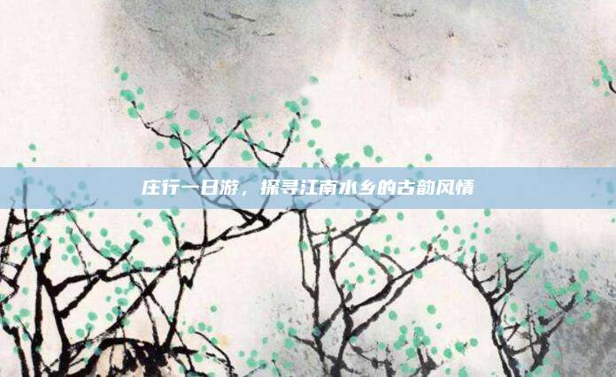 庄行一日游，探寻江南水乡的古韵风情