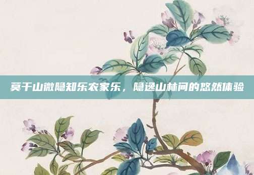 莫干山微隐知乐农家乐,隐逸山林间的悠然体验