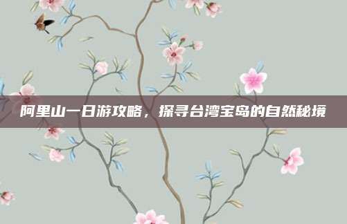 阿里山一日游攻略，探寻台湾宝岛的自然秘境