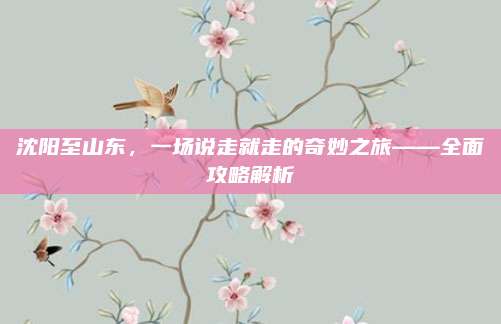 沈阳至山东,一场说走就走的奇妙之旅——全面攻略解析