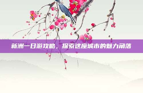 新洲一日游攻略,探索这座城市的魅力角落