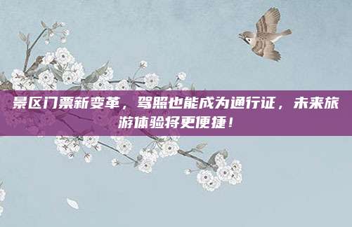 景区门票新变革，驾照也能成为通行证，未来旅游体验将更便捷！