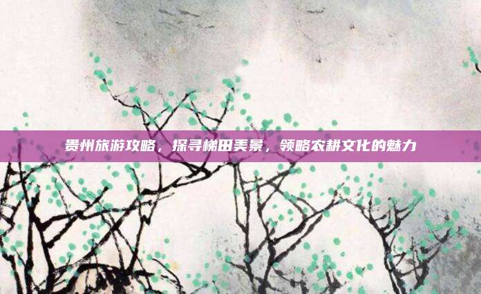 贵州旅游攻略，探寻梯田美景，领略农耕文化的魅力