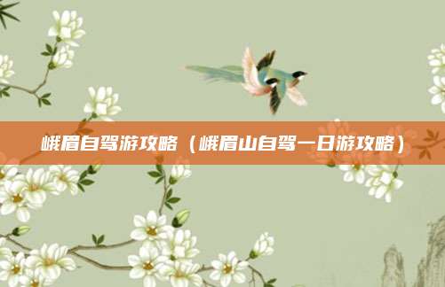 峨眉自驾游攻略(峨眉山自驾一日游攻略)