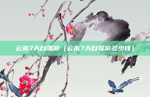 云南7天自驾游（云南7天自驾游多少钱）