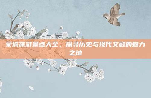 蒙城旅游景点大全,探寻历史与现代交融的魅力之地