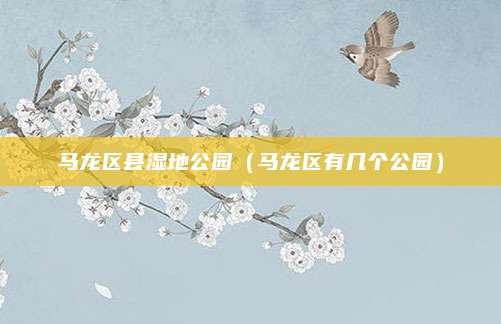 马龙区县湿地公园(马龙区有几个公园)