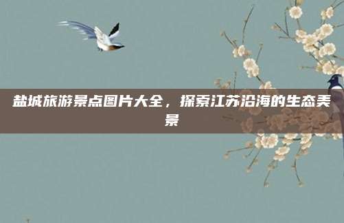 盐城旅游景点图片大全，探索江苏沿海的生态美景