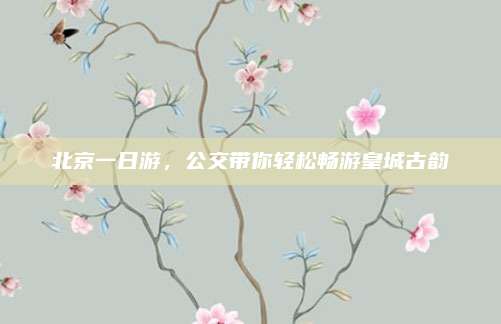 北京一日游,公交带你轻松畅游皇城古韵