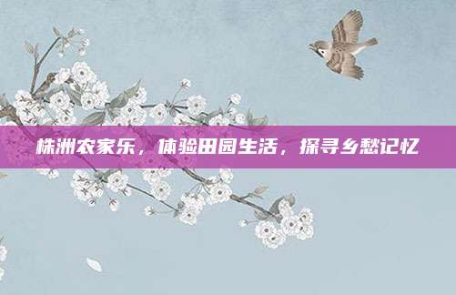 株洲农家乐,体验田园生活,探寻乡愁记忆