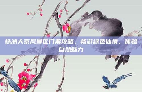 株洲大京风景区门票攻略,畅游绿色仙境,体验自然魅力