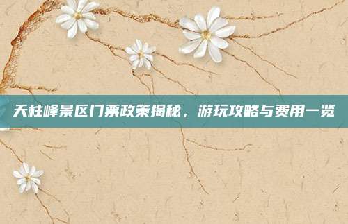 天柱峰景区门票政策揭秘，游玩攻略与费用一览